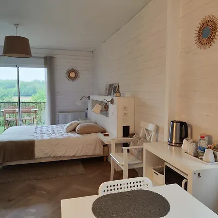 布瓦耶之家住宿加早餐旅馆 住宿加早餐酒店 Chatillon (Rhone-Alps)